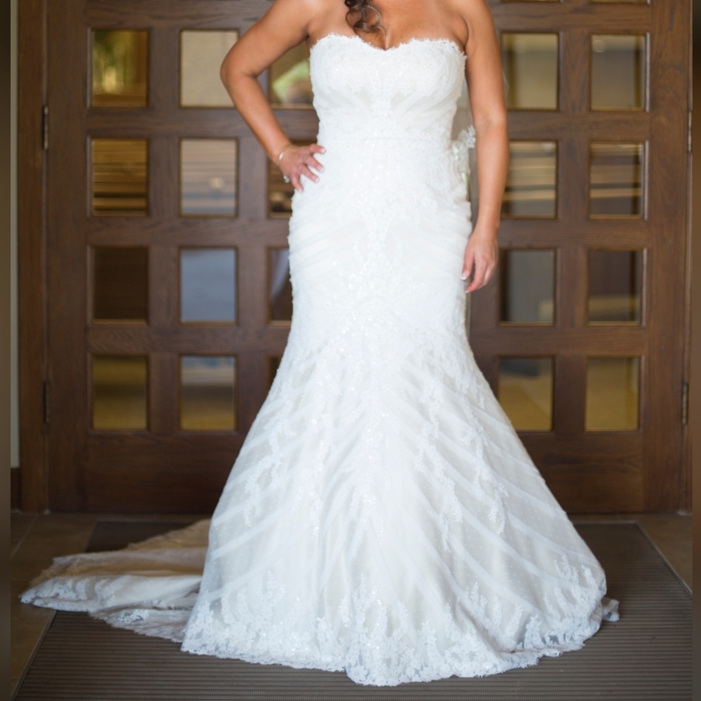 Matthew Christopher | Sophia Wedding Gown & Veil Size 14 - Picture 2 of 16